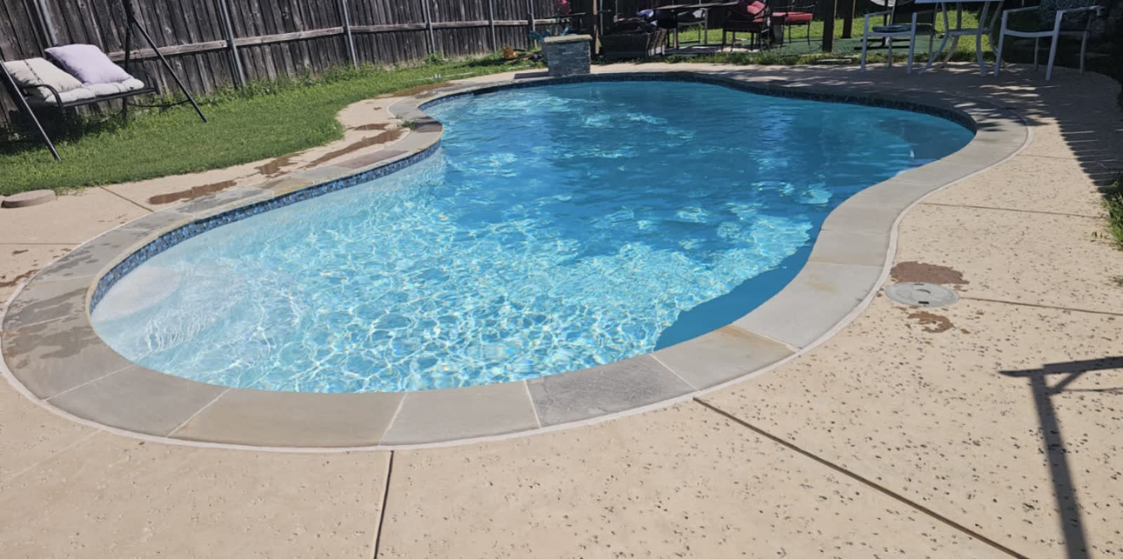 Algae Removal in Swimming Pools