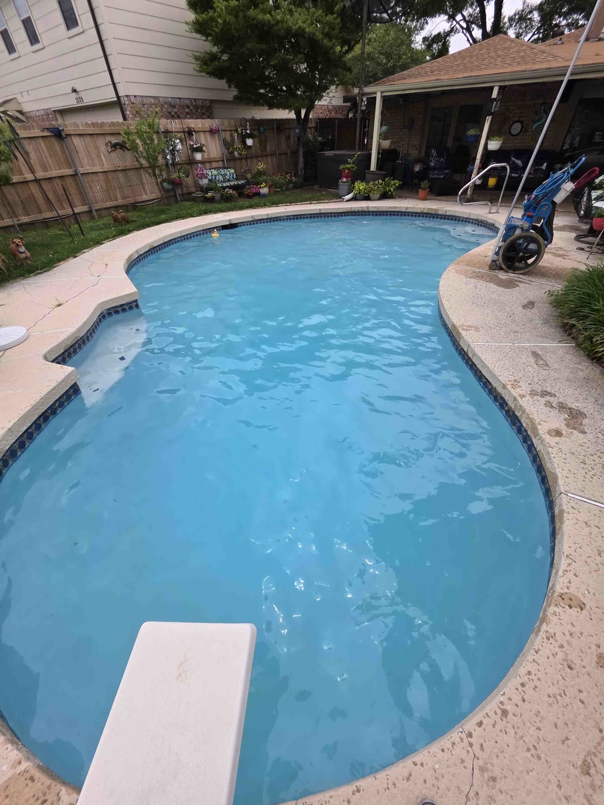 Pool Filter Cleaning service image