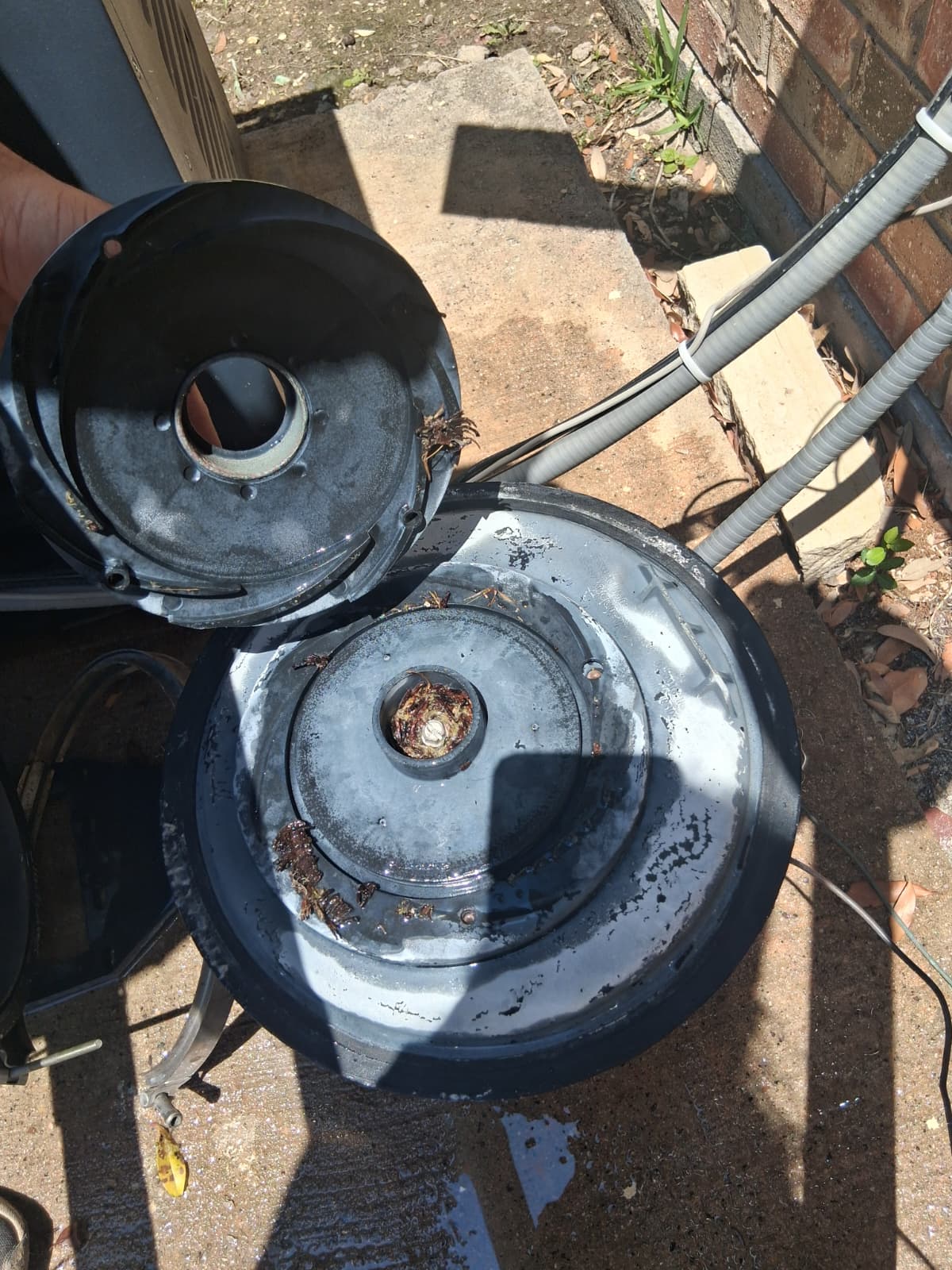 Valve replacements & clog removal